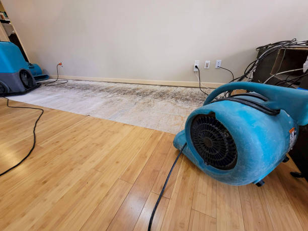 Professional Flood Damage Cleanup technician working in Bristol, WI